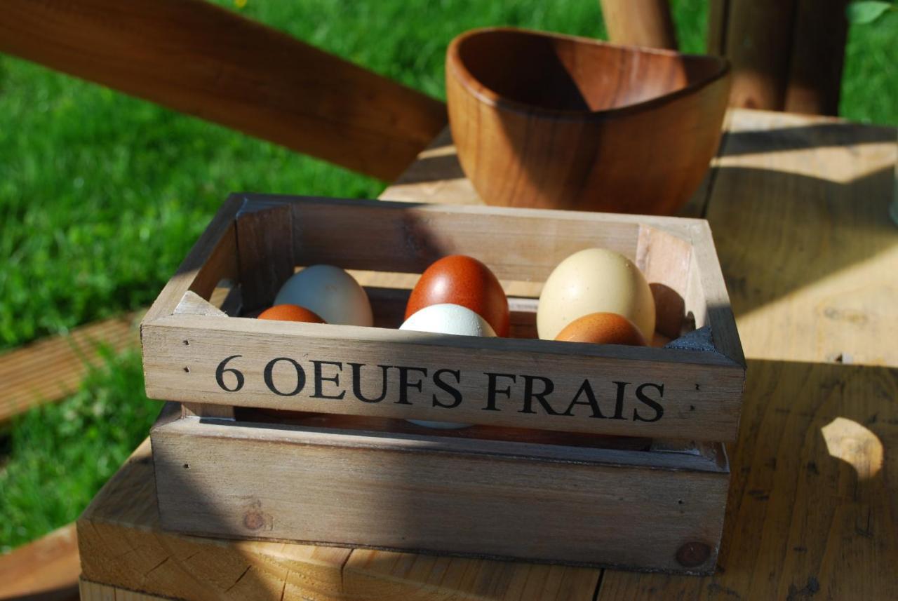 Swallows Oast Glamping Sedlescombe المظهر الخارجي الصورة