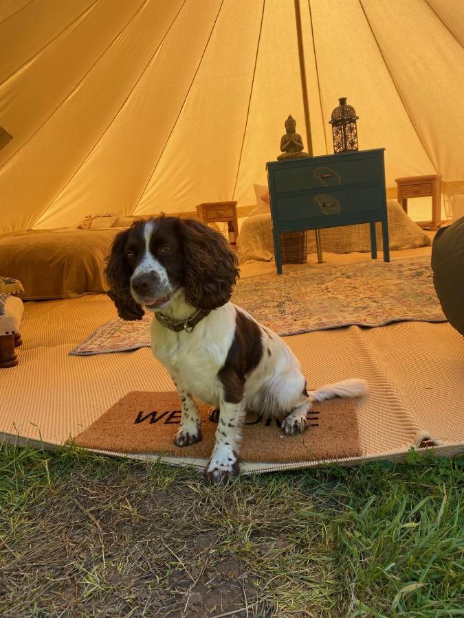 Swallows Oast Glamping Sedlescombe المظهر الخارجي الصورة
