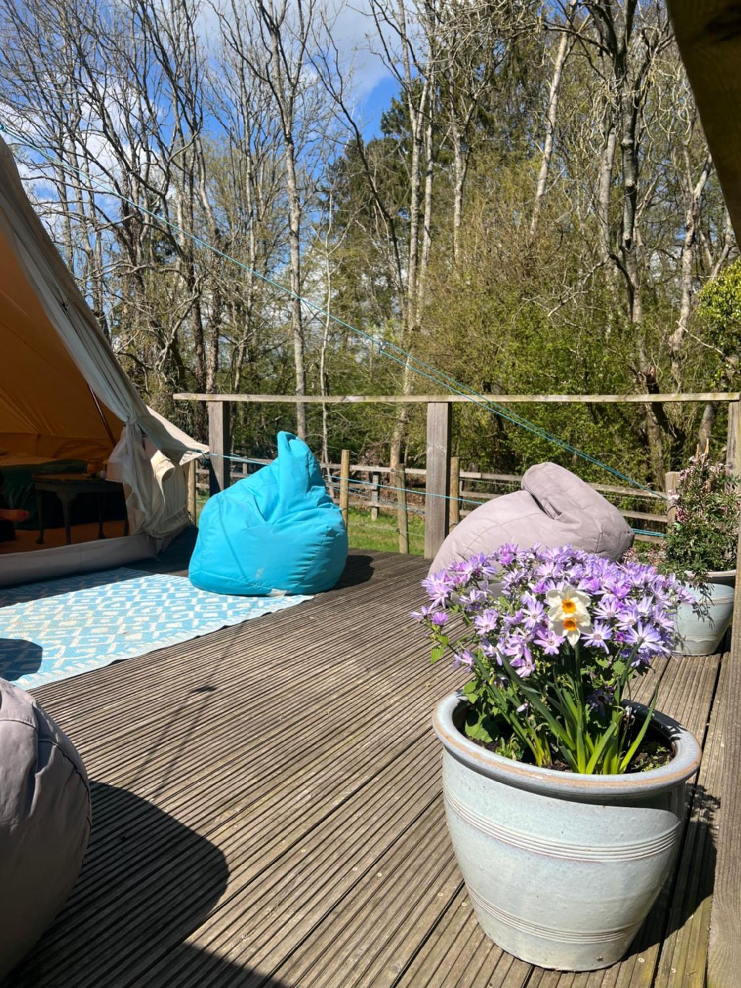 Swallows Oast Glamping Sedlescombe المظهر الخارجي الصورة